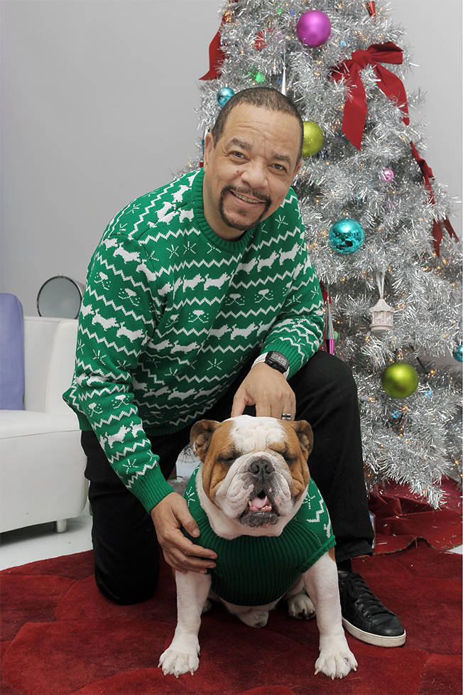 ice-t-bulldog-hed-2016.png
